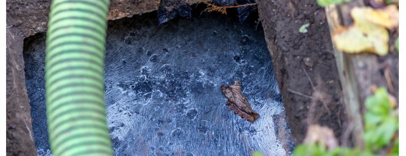 Emergency Septic Services in Woodruff, South Carolina