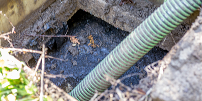 Septic Tank Problems in Woodruff, South Carolina