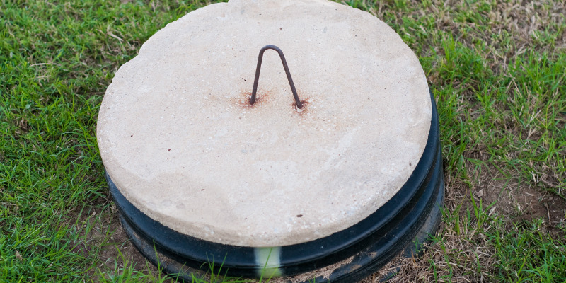 septic diagnosis